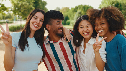 Happy, lovely multiethnic young people posing for the camera on summer day outdoors. group of friends hugging each other smiling at the camera while standing on path in the park