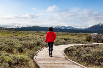 Adventurous Woman Hiking on Boardwalk in American Landscape. Yellowstone National Park, Wyoming, United States. Adventure Travel.