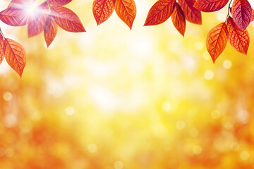Autumn leaves background. Red and orange trees in fall over blurred nature background