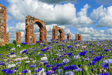 beautiful ruins of an old barn made of boulders and red bricks in the middle of a field of cornflowers, colorful field of cornflowers © ANDA
