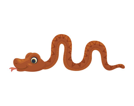 Boa or anaconda snake crawling, flat cartoon vector illustration isolated.