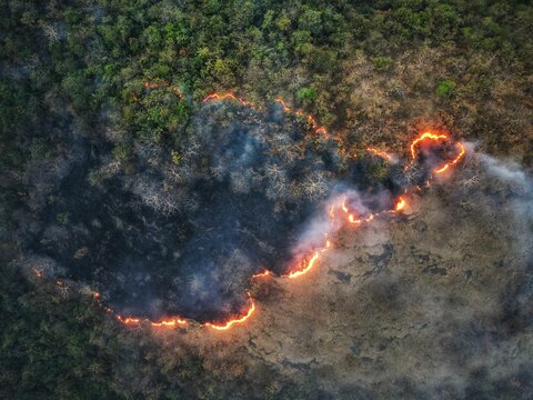 Aerial view of forest fire