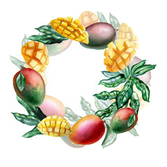 Botanical watercolor illustration of mango fruit