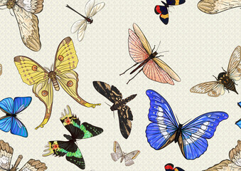Set of insects: beetles, butterflies, moths, dragonflies. Etymologist's set. Seamless pattern, background. Vector illustration. In realistic style.