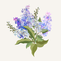 Vector floral illustration of spring bouquet  with lilac and cherry isolated on light beige background.