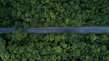 Fotobehang Aerial view road in the middle forest, Top view road going through green forest adventure, Ecosystem ecology healthy environment road trip travel. © Kalyakan