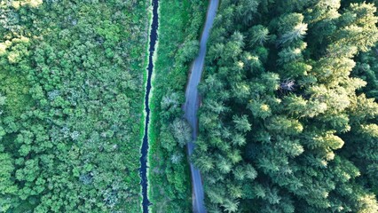 Top view of the road and river passing through the forest and green vegetation © Jakub Jirous/Wirestock Creators