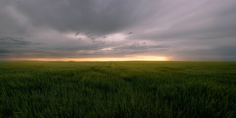 Beautiful landscape view with greenfield against a cloudy sky at sunset