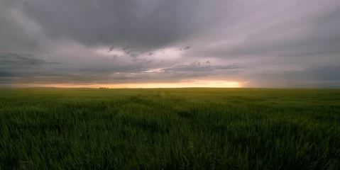 Papier Peint photo autocollant Gris foncé Beautiful landscape view with greenfield against a cloudy sky at sunset