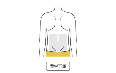 メンズ脱毛の脱毛箇所、背中下部