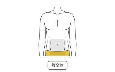 メンズ脱毛の脱毛箇所、腹全体