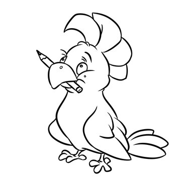 Animal parrot pencil artist character cartoon illustration coloring page