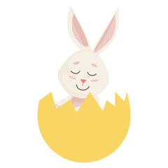 Bunny. Cute Rabbit into Broken Egg.