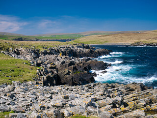Stratified coastal rocks at East Ham on the island of Mousa, Shetland, UK. Bressay Flagstone...