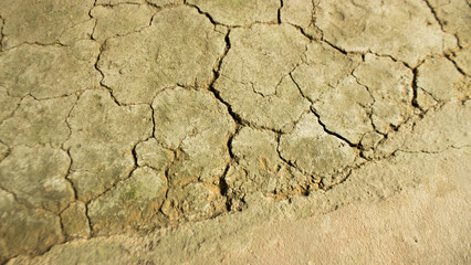 Cracked Barren Land as if the air is hot