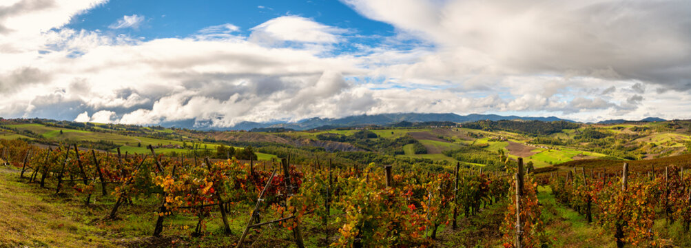 Hills and vineyards of Oltre Po Pavese in autumn season, Northern Apennines, Pavia, Lombardy, Italy