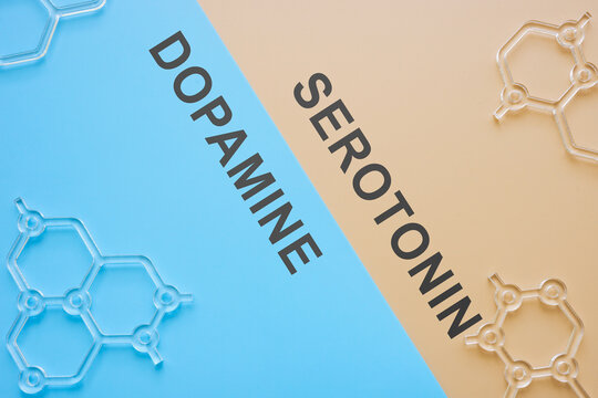 Hormones dopamine and serotonin and chemical models.