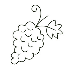 Hand drawn doodle grapes icon, linear fruit drawing of bunch of grapes, vector doodle illustration, isolated outline clipart on white background, healthy organic fruits