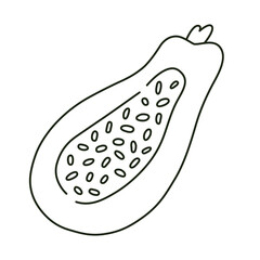 Hand drawn half papaya icon, doodle linear drawing of ripe papaya with seeds, vector doodle illustration of exotic fruit, isolated outline clipart on white background, healthy organic fruits