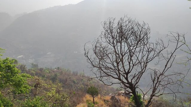 Beautiful View of the Uttarakhand Mountains range, dry trees and mountains with a foggy sky