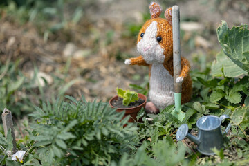 Guinea pig knitted toy