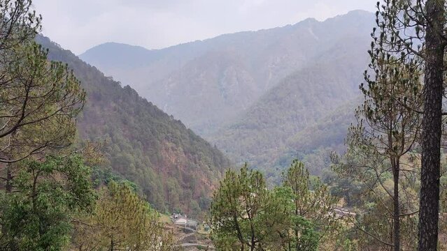 View of the Uttarakhand Mountains range, trees and mountains with a foggy sky