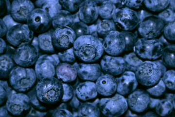 Blue toned fresh blueberry berries background pattern close up view