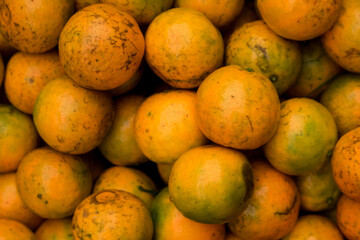 fresh oranges from the garden