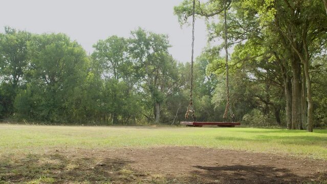 Wooden swing hanging on a tree on a meadow