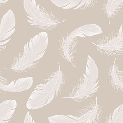 Seamless pattern of delicate feathers. Vector illustration