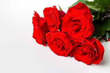 Bouquet of red roses on a white background. Copy space