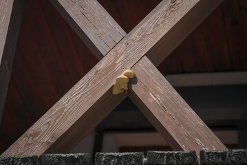Wooden balustrade infected with a parasitic fungus