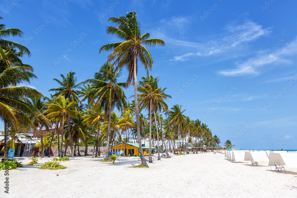 Wall mural Playa Spratt Bight beach travel with palms vacation sea on island San Andres in Colombia - Wall murals