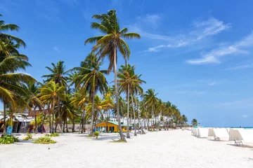 Fototapeten Playa Spratt Bight beach travel with palms vacation sea on island San Andres in Colombia © Markus Mainka