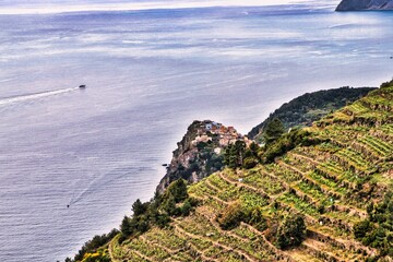 Aerial view of the hillside vineyards of Corniglia, Italy