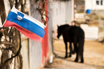 Closeup shot of the flag of Slovenia in a village against the background of a donkey