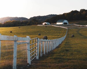 Closeup shot of a white fence in the forest in Tennessee, USA