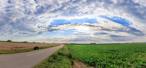 Dark clouds over ripe grain fields in agricultural environment