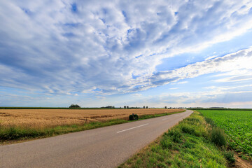 Fototapeta na wymiar Dark clouds over ripe grain fields in agricultural environment