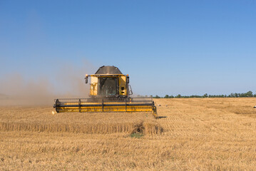 Combine harvester harvests wheat in a wheat field