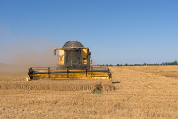 Combine harvester harvests wheat in a wheat field