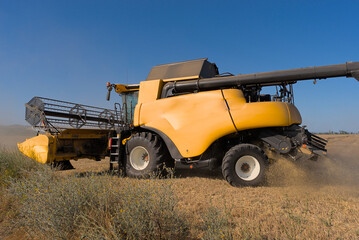 Obraz premium Combine Combine harvester harvests wheat in a wheat fieldharvester harvests wheat in a wheat field