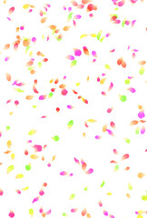 背景素材_水彩_花吹雪_カラフル