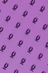 Top view on a violet background with shadows of 3d render Halloween Bat symbols. Modern creative 3d Halloween illustration. Trendy Halloween 3d background concept