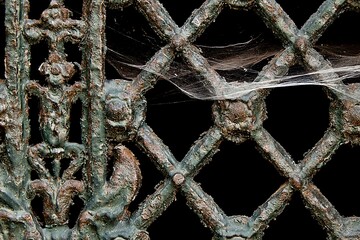 Closeup of a gate on a cemetery in Paris covered with a spider web