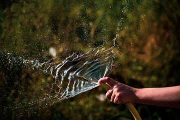 Closeup of a hand holding a yellow rubber hose squirting water on green garden during a sunny day