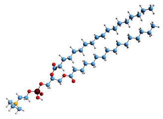 3D image of Palmitoyl-oleoyl-sn-phosphatidylcholine skeletal formula - molecular chemical structure of phosphatidylcholine isolated on white background
