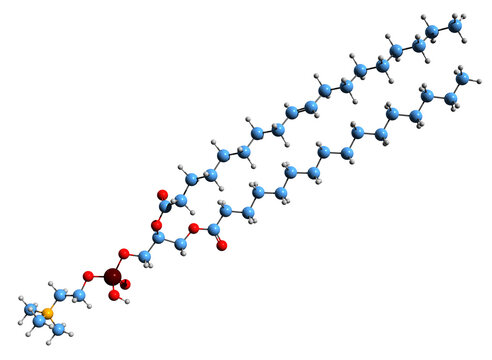 Phosphatidylcholine Chemical Structure