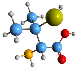 Obraz premium 3D image of Penicillamine skeletal formula - molecular chemical structure of Wilson's disease medication D-penicillamine isolated on white background 