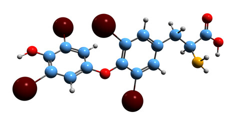 3D image of Levothyroxine skeletal formula - molecular chemical structure of L-thyroxine isolated on white background

